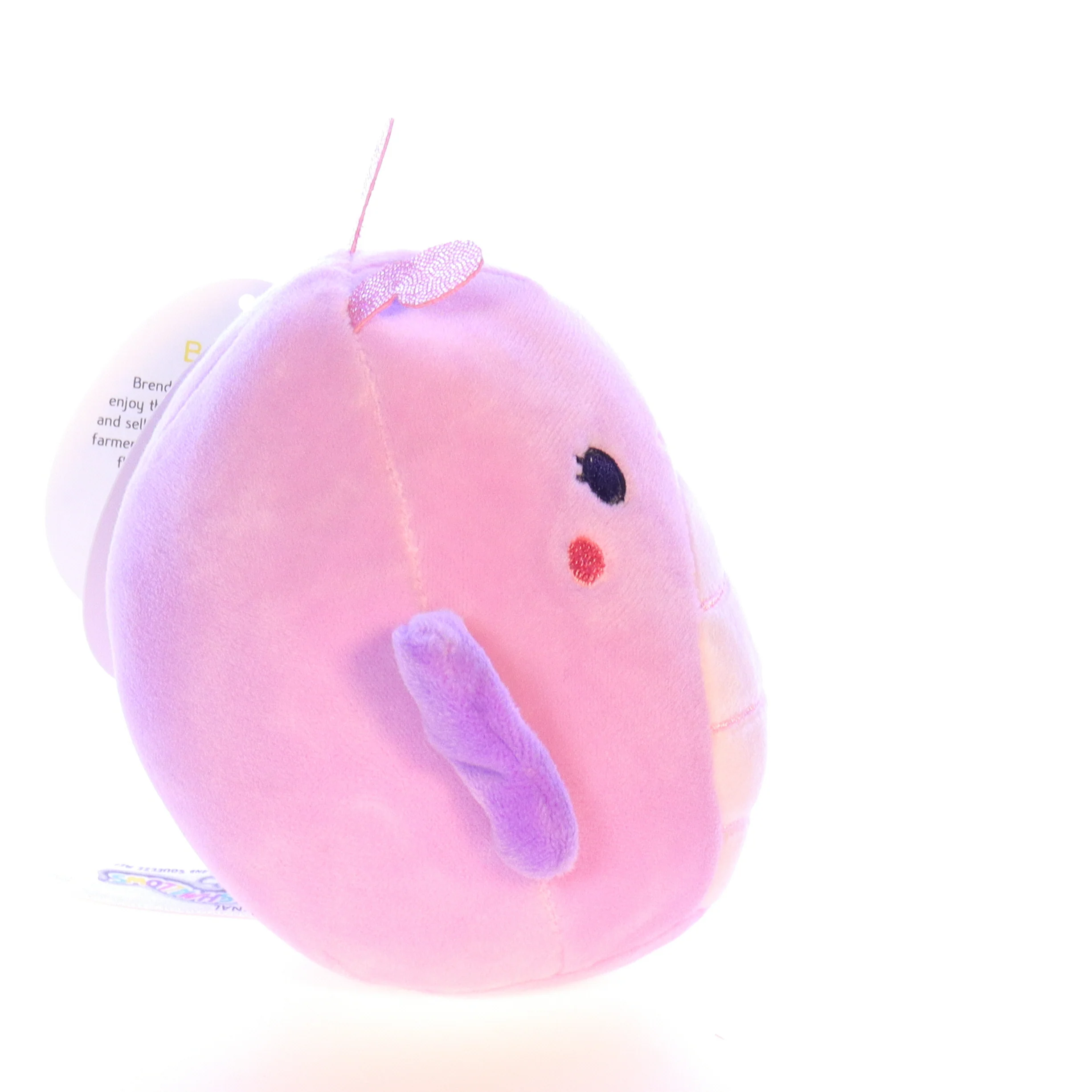 Squishmallows Plush Butterfly Stuffed Animal 734689452293 Brenda 2020 5" - Image 7
