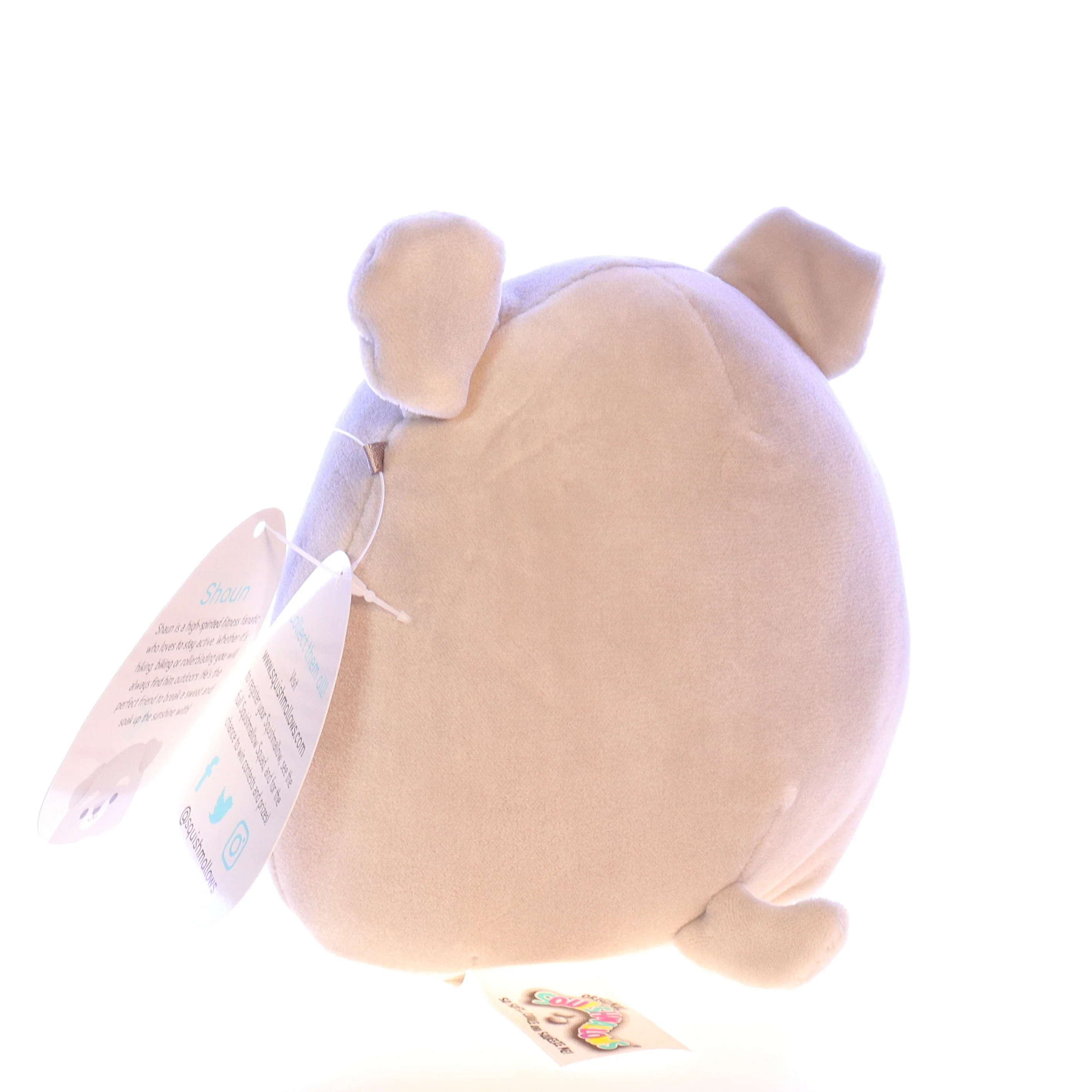 Squishmallows Plush Dog Stuffed Animal Q044 Shaun Plush 2020 5" - Image 4